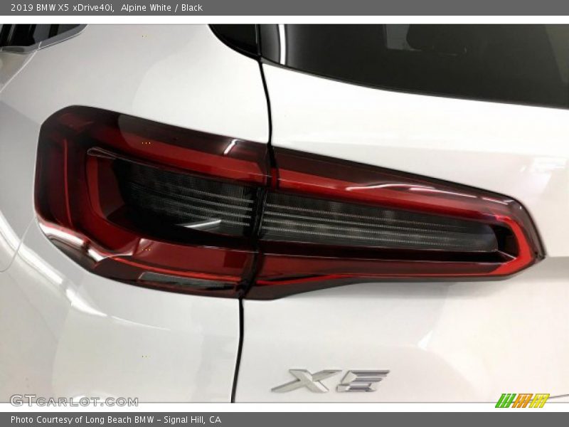 Alpine White / Black 2019 BMW X5 xDrive40i