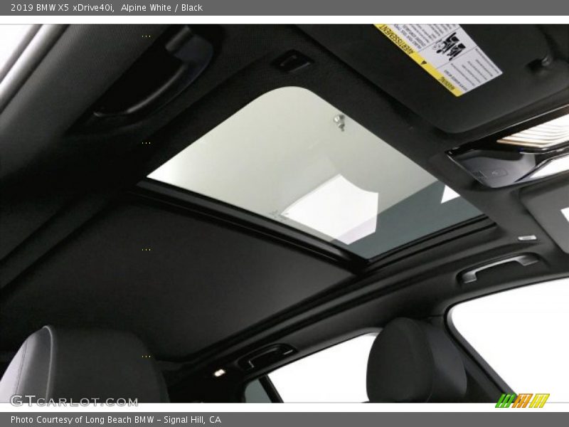 Alpine White / Black 2019 BMW X5 xDrive40i