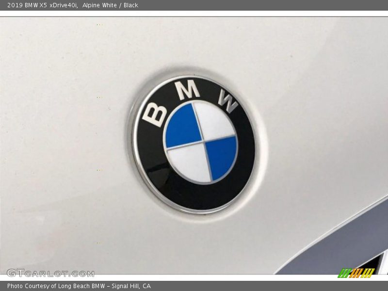 Alpine White / Black 2019 BMW X5 xDrive40i