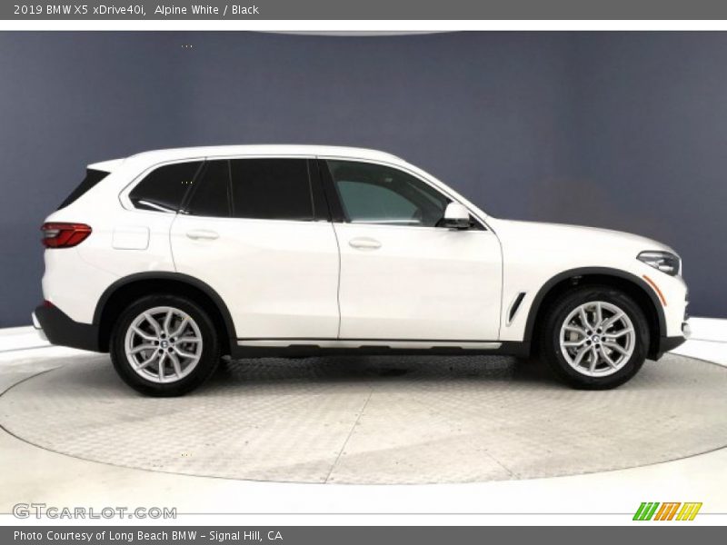 Alpine White / Black 2019 BMW X5 xDrive40i
