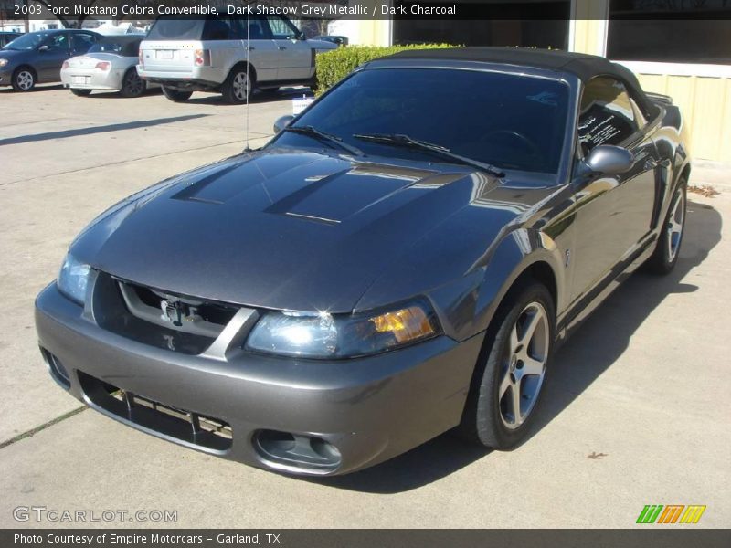 Dark Shadow Grey Metallic / Dark Charcoal 2003 Ford Mustang Cobra Convertible