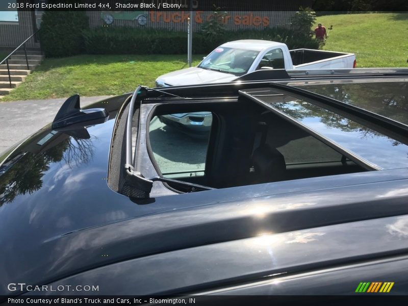 Shadow Black / Ebony 2018 Ford Expedition Limited 4x4