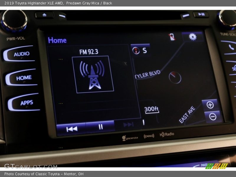 Predawn Gray Mica / Black 2019 Toyota Highlander XLE AWD