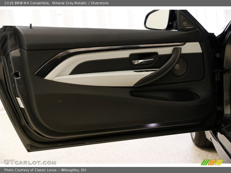 Door Panel of 2018 M4 Convertible