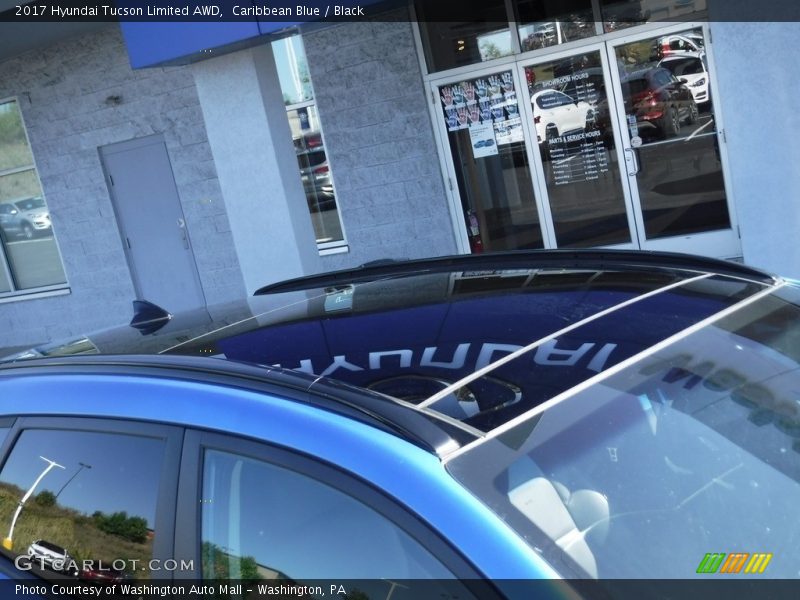 Caribbean Blue / Black 2017 Hyundai Tucson Limited AWD