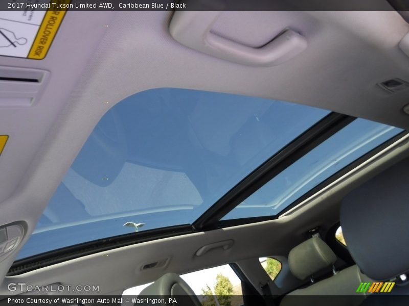 Caribbean Blue / Black 2017 Hyundai Tucson Limited AWD