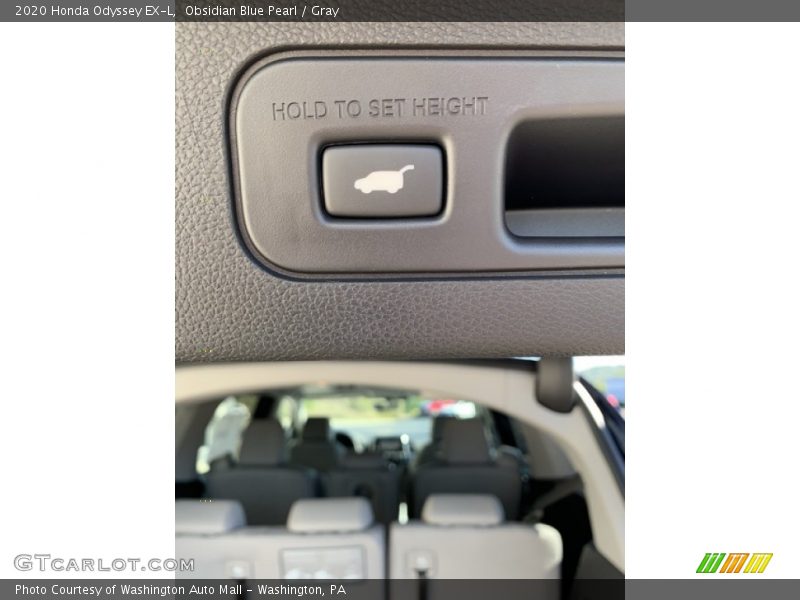 Obsidian Blue Pearl / Gray 2020 Honda Odyssey EX-L