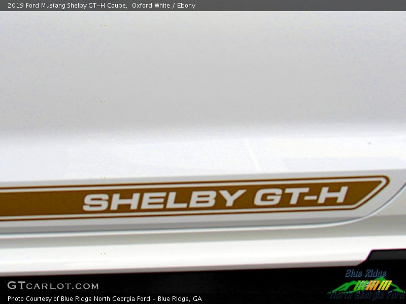 Oxford White / Ebony 2019 Ford Mustang Shelby GT-H Coupe