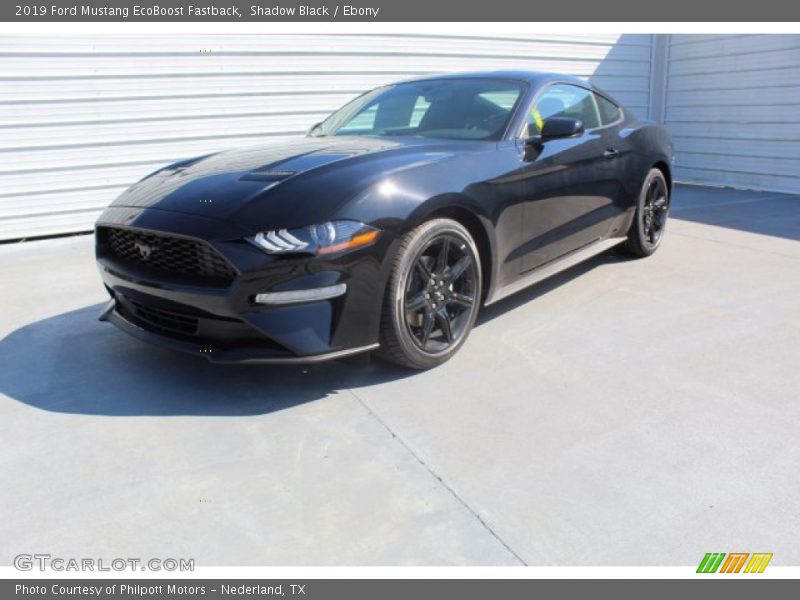 Shadow Black / Ebony 2019 Ford Mustang EcoBoost Fastback