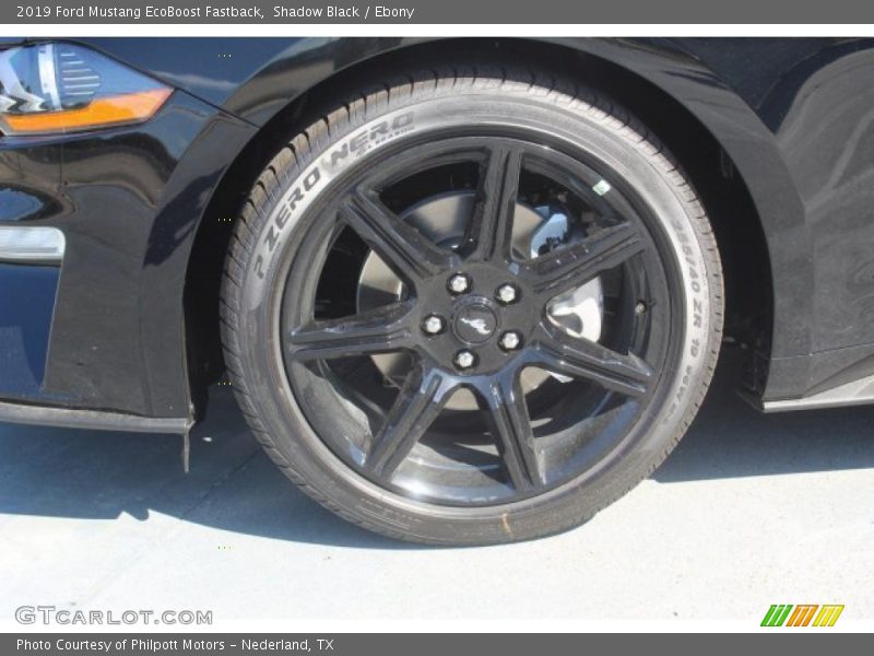 Shadow Black / Ebony 2019 Ford Mustang EcoBoost Fastback