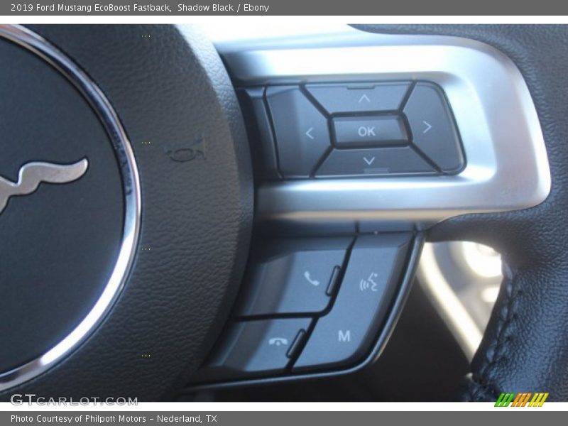 Shadow Black / Ebony 2019 Ford Mustang EcoBoost Fastback