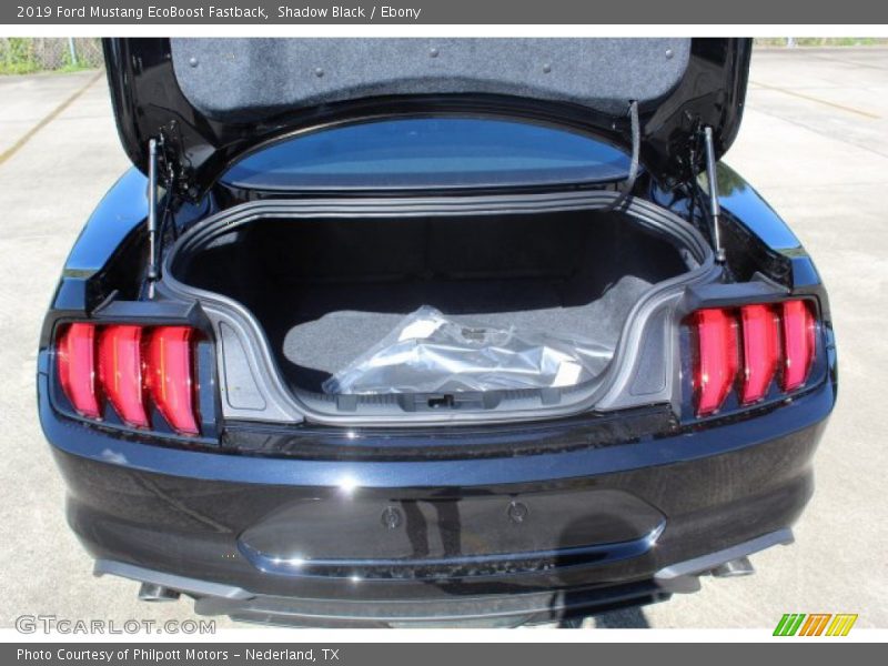 Shadow Black / Ebony 2019 Ford Mustang EcoBoost Fastback