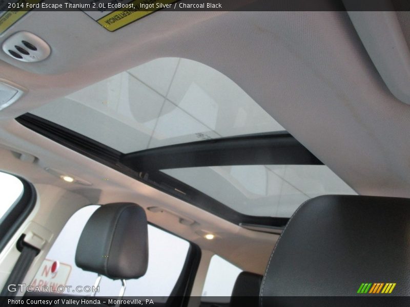 Ingot Silver / Charcoal Black 2014 Ford Escape Titanium 2.0L EcoBoost