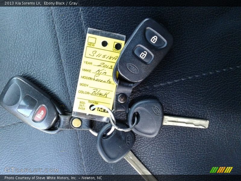 Ebony Black / Gray 2013 Kia Sorento LX