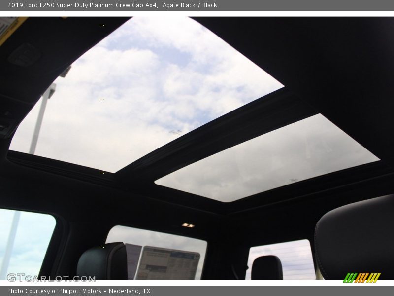 Agate Black / Black 2019 Ford F250 Super Duty Platinum Crew Cab 4x4
