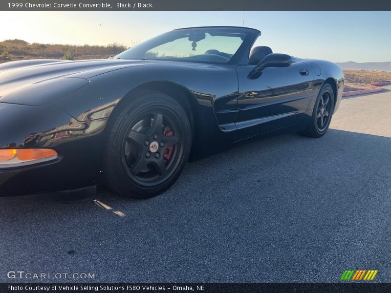 Black / Black 1999 Chevrolet Corvette Convertible