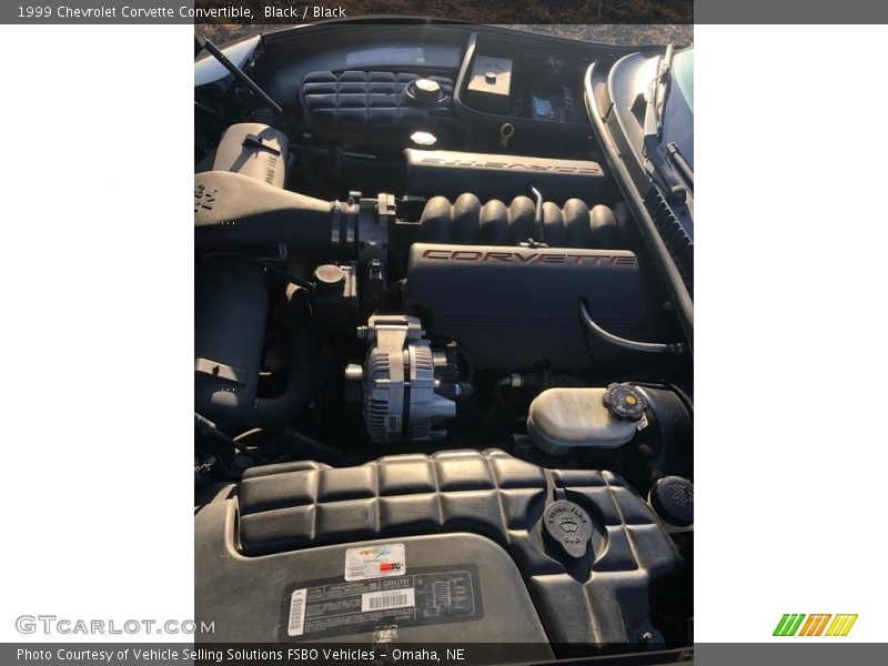 Black / Black 1999 Chevrolet Corvette Convertible