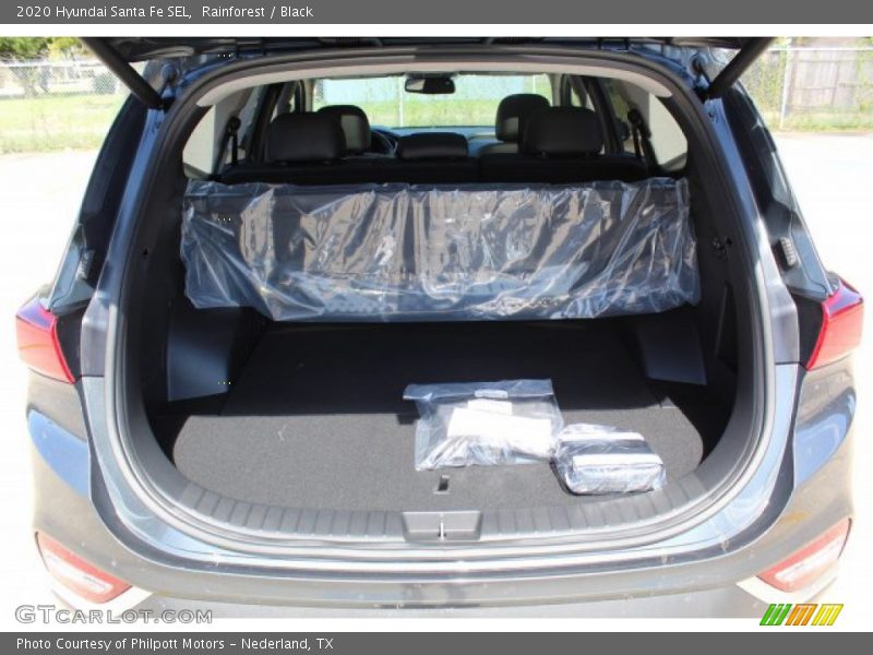 Rainforest / Black 2020 Hyundai Santa Fe SEL