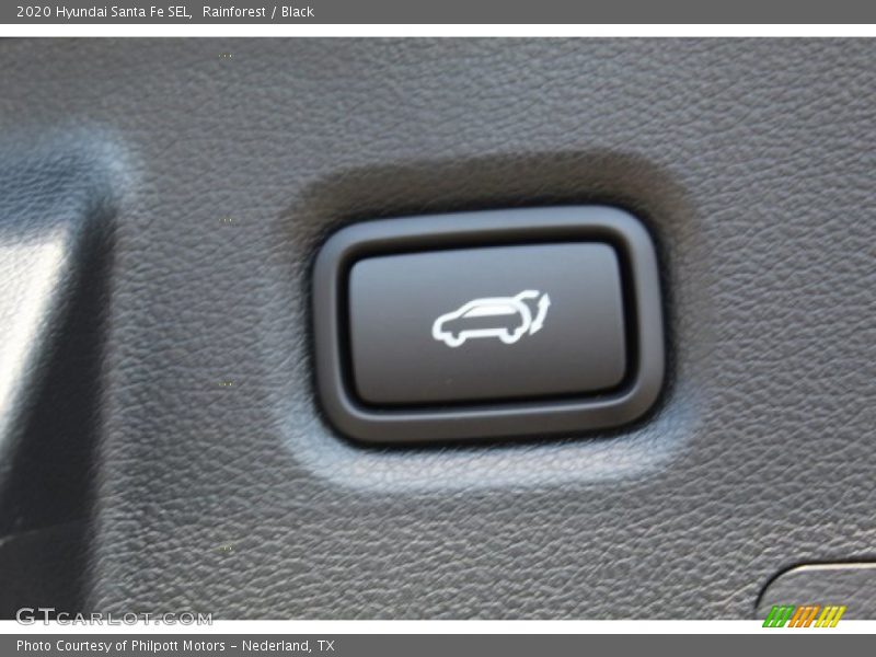 Rainforest / Black 2020 Hyundai Santa Fe SEL