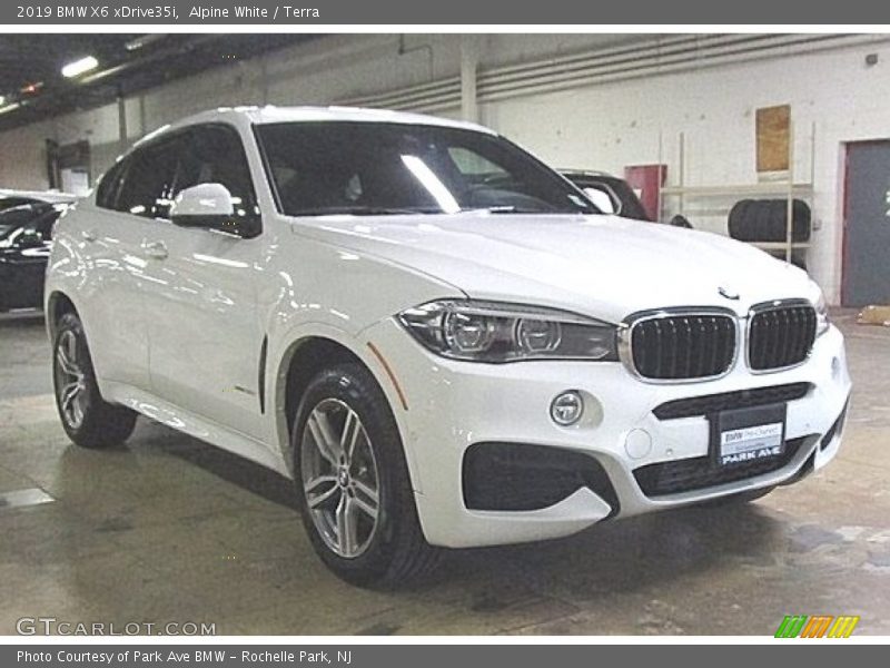 Alpine White / Terra 2019 BMW X6 xDrive35i