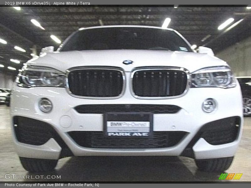 Alpine White / Terra 2019 BMW X6 xDrive35i