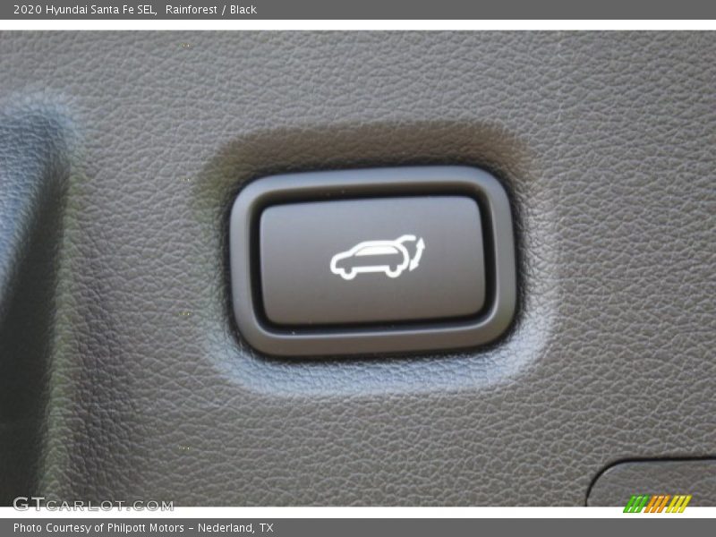 Rainforest / Black 2020 Hyundai Santa Fe SEL