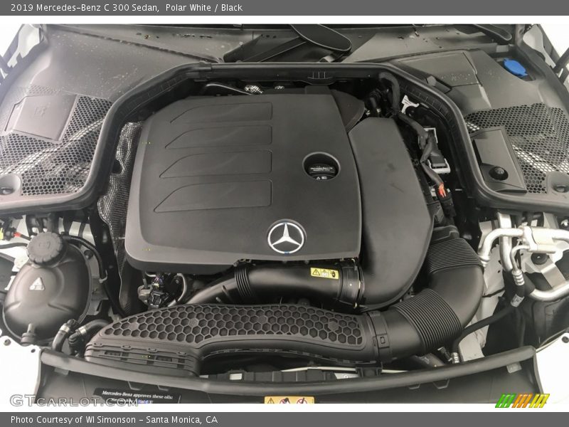 Polar White / Black 2019 Mercedes-Benz C 300 Sedan