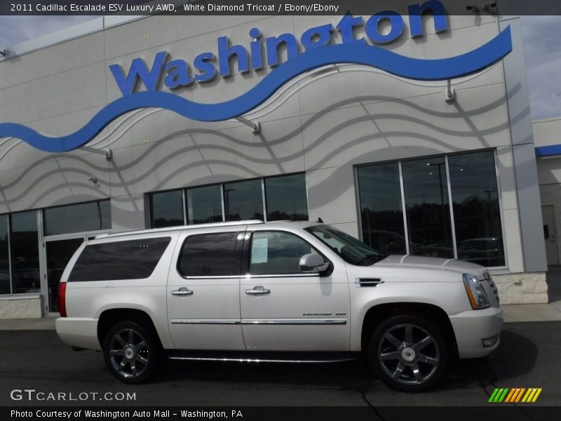 White Diamond Tricoat / Ebony/Ebony 2011 Cadillac Escalade ESV Luxury AWD