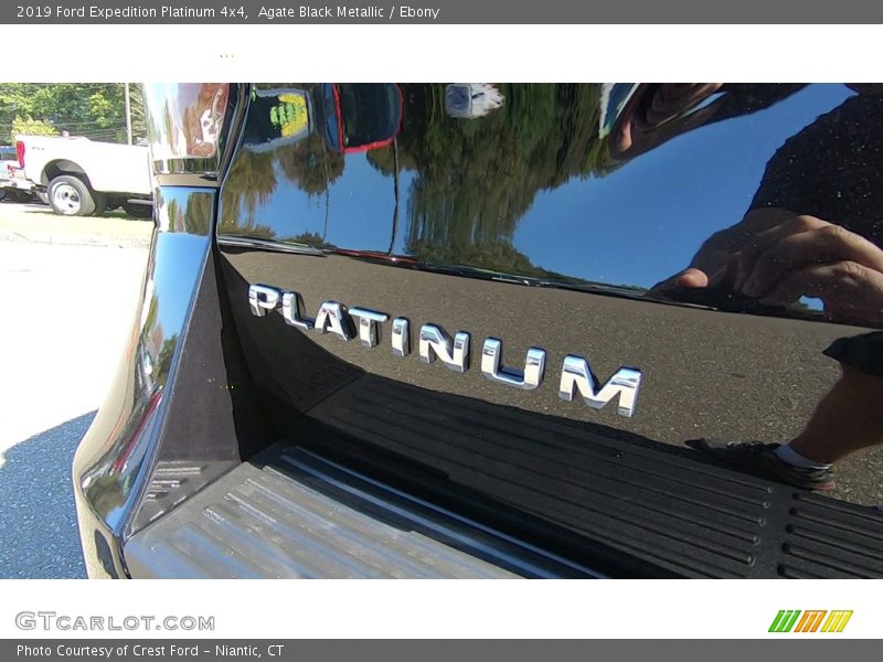 Agate Black Metallic / Ebony 2019 Ford Expedition Platinum 4x4