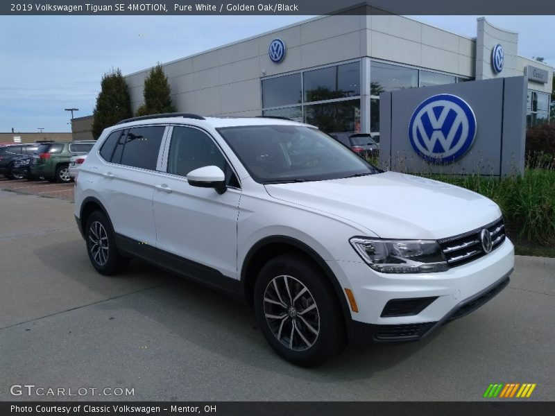 Pure White / Golden Oak/Black 2019 Volkswagen Tiguan SE 4MOTION