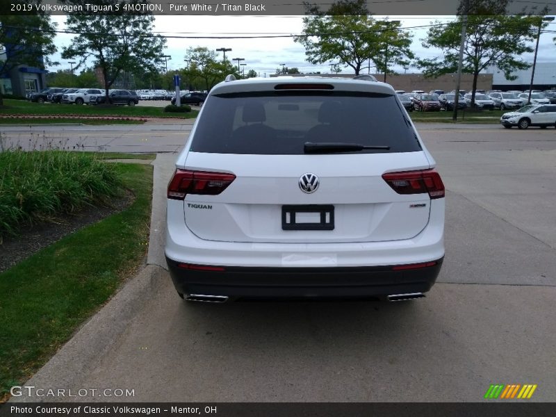 Pure White / Titan Black 2019 Volkswagen Tiguan S 4MOTION