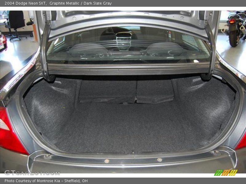 Graphite Metallic / Dark Slate Gray 2004 Dodge Neon SXT