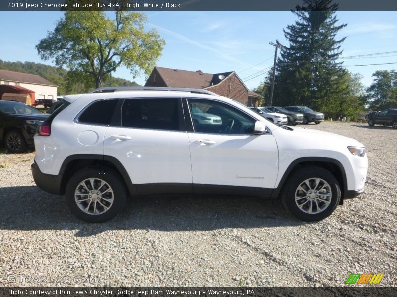 Bright White / Black 2019 Jeep Cherokee Latitude Plus 4x4