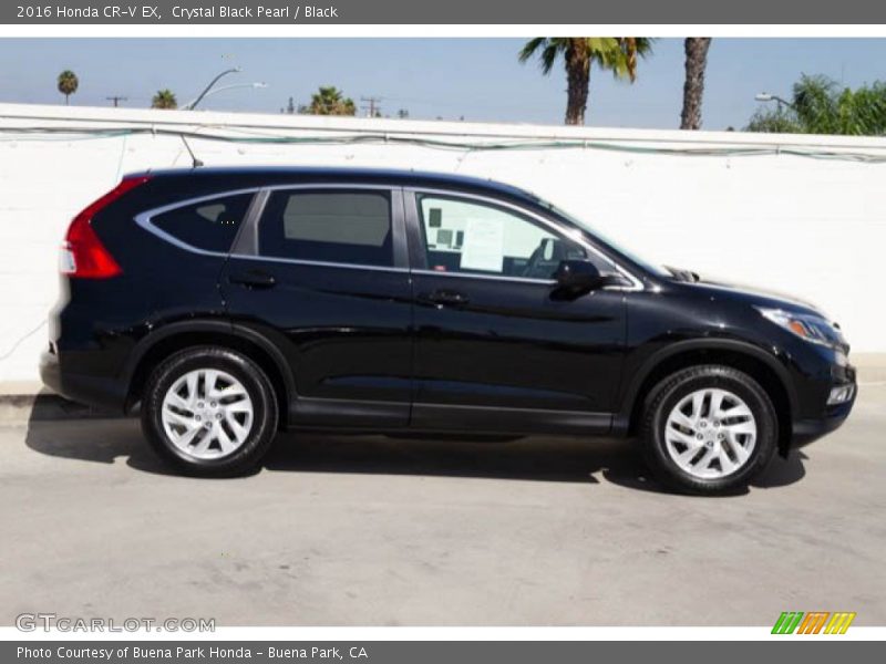 Crystal Black Pearl / Black 2016 Honda CR-V EX