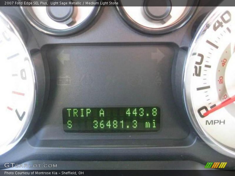 Light Sage Metallic / Medium Light Stone 2007 Ford Edge SEL Plus
