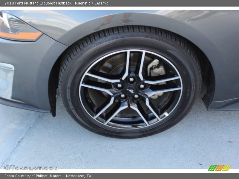 Magnetic / Ceramic 2018 Ford Mustang EcoBoost Fastback
