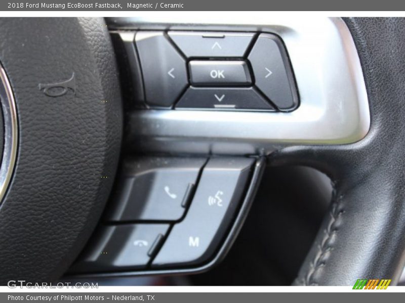 Magnetic / Ceramic 2018 Ford Mustang EcoBoost Fastback