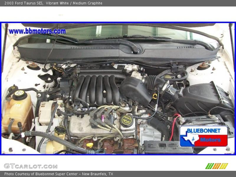 Vibrant White / Medium Graphite 2003 Ford Taurus SES