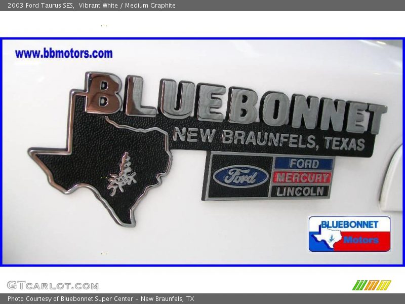 Vibrant White / Medium Graphite 2003 Ford Taurus SES