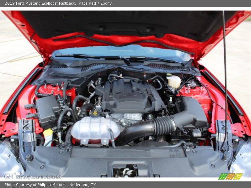 Race Red / Ebony 2019 Ford Mustang EcoBoost Fastback