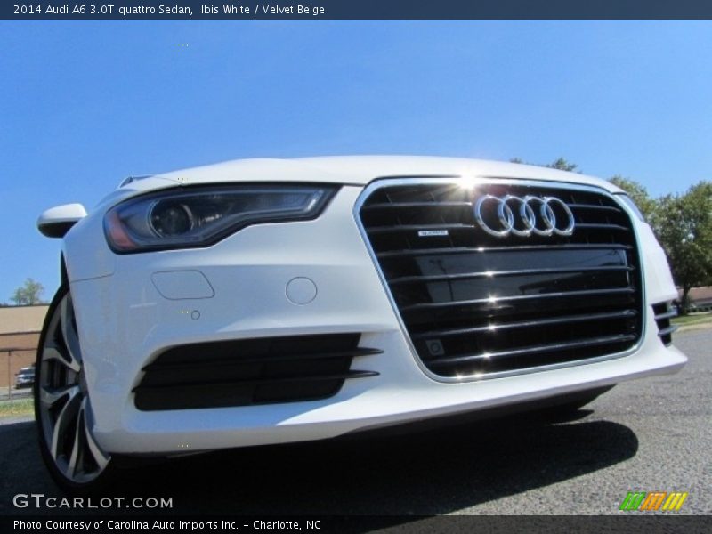 Ibis White / Velvet Beige 2014 Audi A6 3.0T quattro Sedan