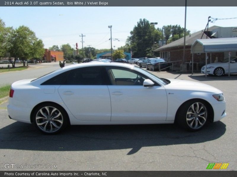 Ibis White / Velvet Beige 2014 Audi A6 3.0T quattro Sedan