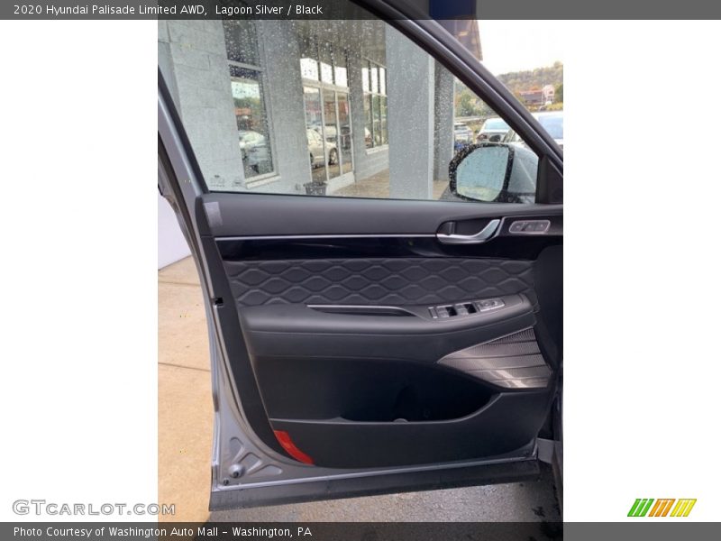 Door Panel of 2020 Palisade Limited AWD
