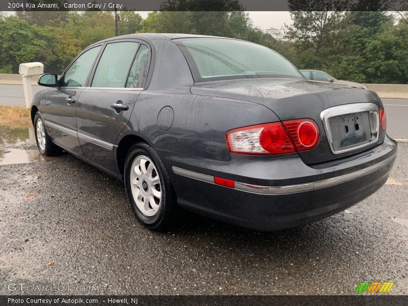 Carbon Gray / Gray 2004 Kia Amanti