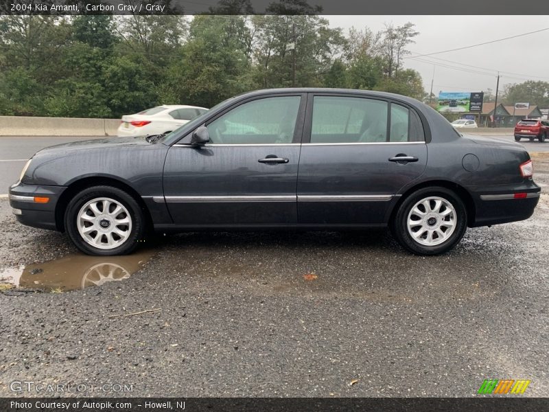 Carbon Gray / Gray 2004 Kia Amanti