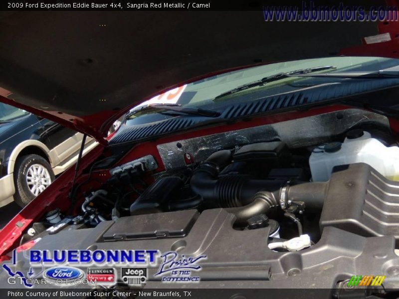 Sangria Red Metallic / Camel 2009 Ford Expedition Eddie Bauer 4x4