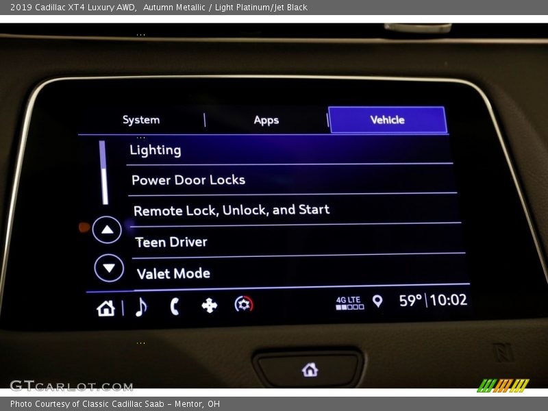 Autumn Metallic / Light Platinum/Jet Black 2019 Cadillac XT4 Luxury AWD