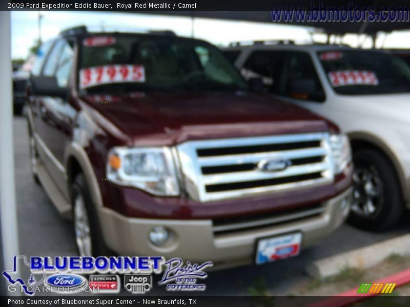 Royal Red Metallic / Camel 2009 Ford Expedition Eddie Bauer