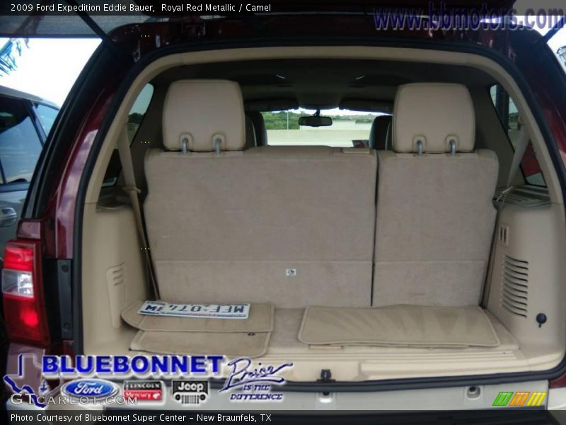 Royal Red Metallic / Camel 2009 Ford Expedition Eddie Bauer