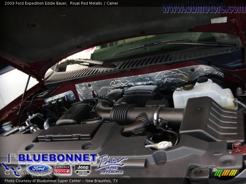 Royal Red Metallic / Camel 2009 Ford Expedition Eddie Bauer